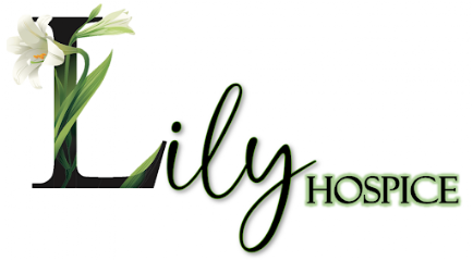 LILY HOSPICE — homepage