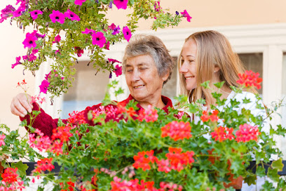 LIVE WELL HOSPICE, LLC — homepage