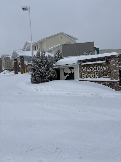 Meadow Brook Medical Care Facility — homepage