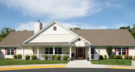Meadows on McCarty — homepage