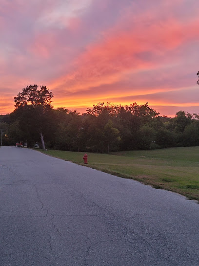 MONROE MANOR — homepage