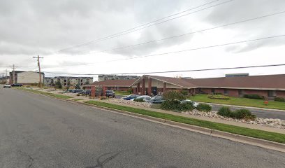 Mountain View Health Services — homepage