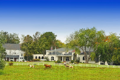 NEWPORT MEADOWS HEALTH AND REHABILITATION CENTER — homepage