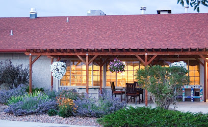 NURSING AND THERAPY SERVICES OF COLORADO INC — homepage