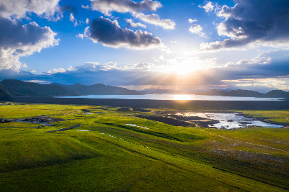 PACIFIC HILLS POST ACUTE — homepage