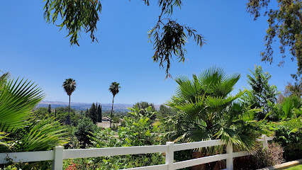 PALM TERRACE CARE CENTER — homepage