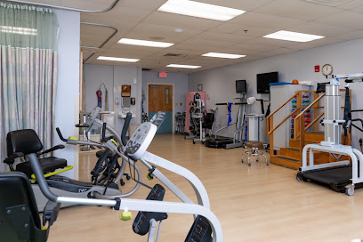 Palmetto Subacute Care Center — homepage