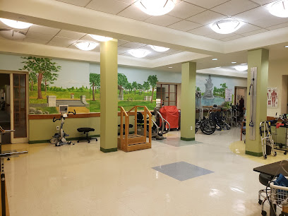 PEACE CARE ST JOSEPH'S — homepage