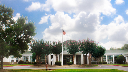 PREMIER AT THE SPRINGS — homepage
