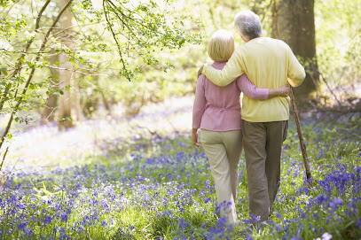 PREMIER HOME HEALTH AGENCY — homepage