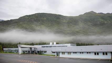 PROVIDENCE VALDEZ MEDICAL CENTER — homepage