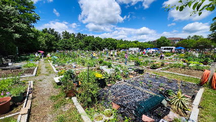 RIDERWOOD VILLAGE — homepage