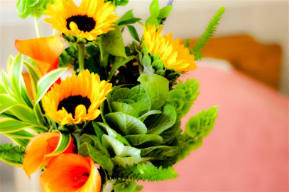 San Luis Transitional Care — homepage