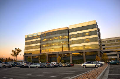 SELECT HEALTH INFORMATICS CONSULTING SERVICES INC — homepage