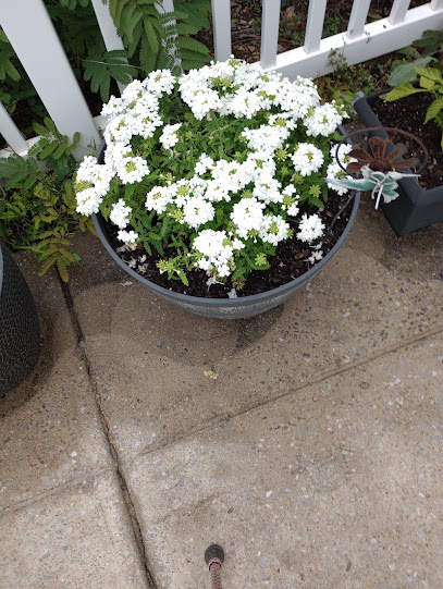 SHELBY RIDGE NURSING HOME — homepage