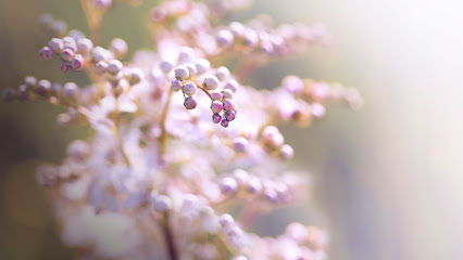 SILVERADO HOSPICE- AUSTIN — homepage