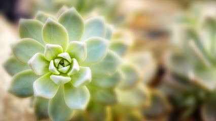 SILVERADO HOSPICE SOUTH HOUSTON — homepage