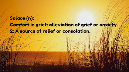 SOLACE HOSPICE LLC — homepage