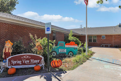 SPRING VIEW MANOR HEALTHCARE AND REHABILITATION — homepage