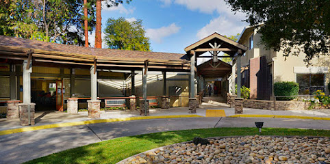 SUNNY VIEW MANOR — homepage