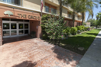 The Grove Care and Wellness — homepage