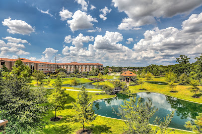 The Jasper of Meadows Place — homepage