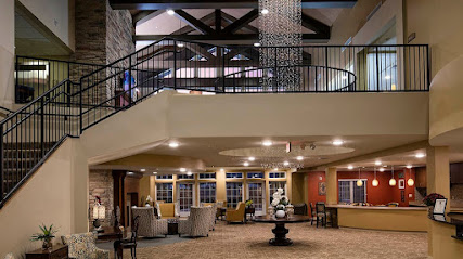 The Oxford Grand at McKinney — homepage