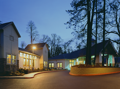 The PEARL AT KRUSE WAY — homepage