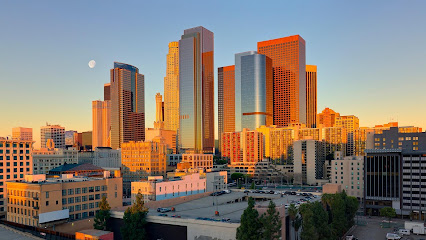 THE REHABILITATION CENTER OF LOS ANGELES — homepage
