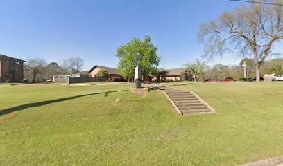 THE SPRINGS OF TEXARKANA — homepage