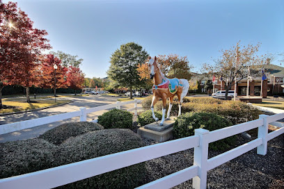 THE VILLAGE AT GERMANTOWN — homepage