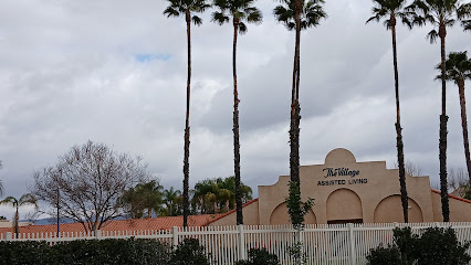 THE VILLAGE HEALTHCARE CENTER — homepage