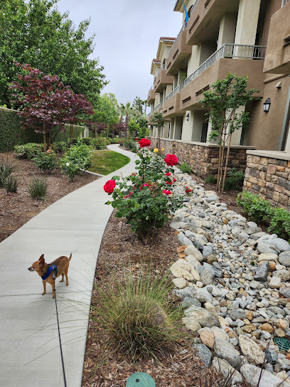 Villa Pacifica Senior Community — homepage