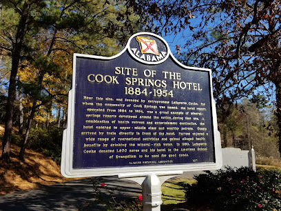 VILLAGE AT COOK SPRINGS SKILLED NURSING FACILITY — homepage
