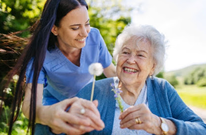 VIP HOME HEALTH & HOSPICE INC. — homepage