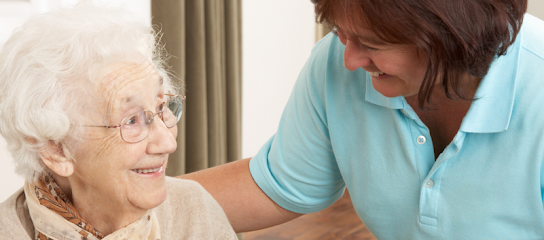 VIRGINIA HOME CARE SERVICES INC — homepage