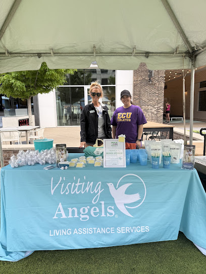Visiting Angels Senior Home Care — homepage