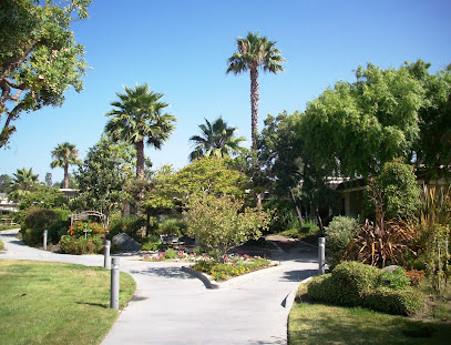 VISTA KNOLL SPECIALIZED CARE FACILITY — homepage