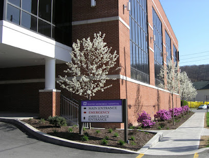 WAYNE MEMORIAL HOSPITAL DEPARTMENT OF HOME HEALTH — homepage