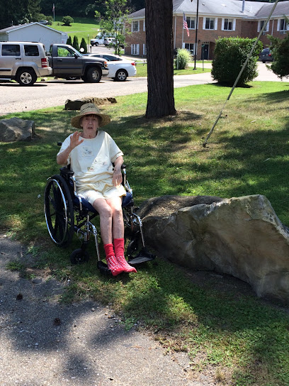 WELLSBURG HEALTHCARE CENTER — homepage