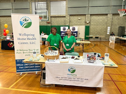 WELLSPRING HOME HEALTH CARE, INC. — homepage