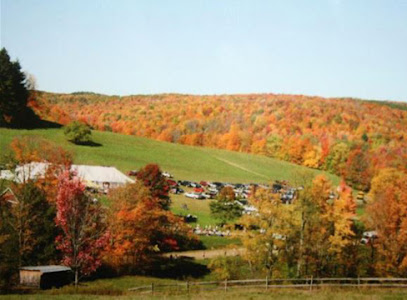 WELLSVILLE MANOR CARE CENTER — homepage