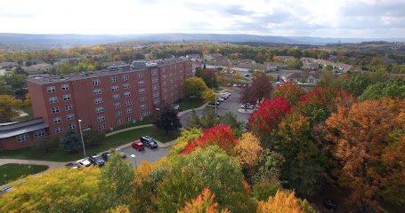 WESLEY VILLAGE — homepage