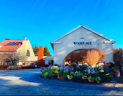 WOODLAKE AT TOLLAND — homepage