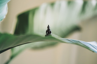 ZEN HOSPICE INC — homepage